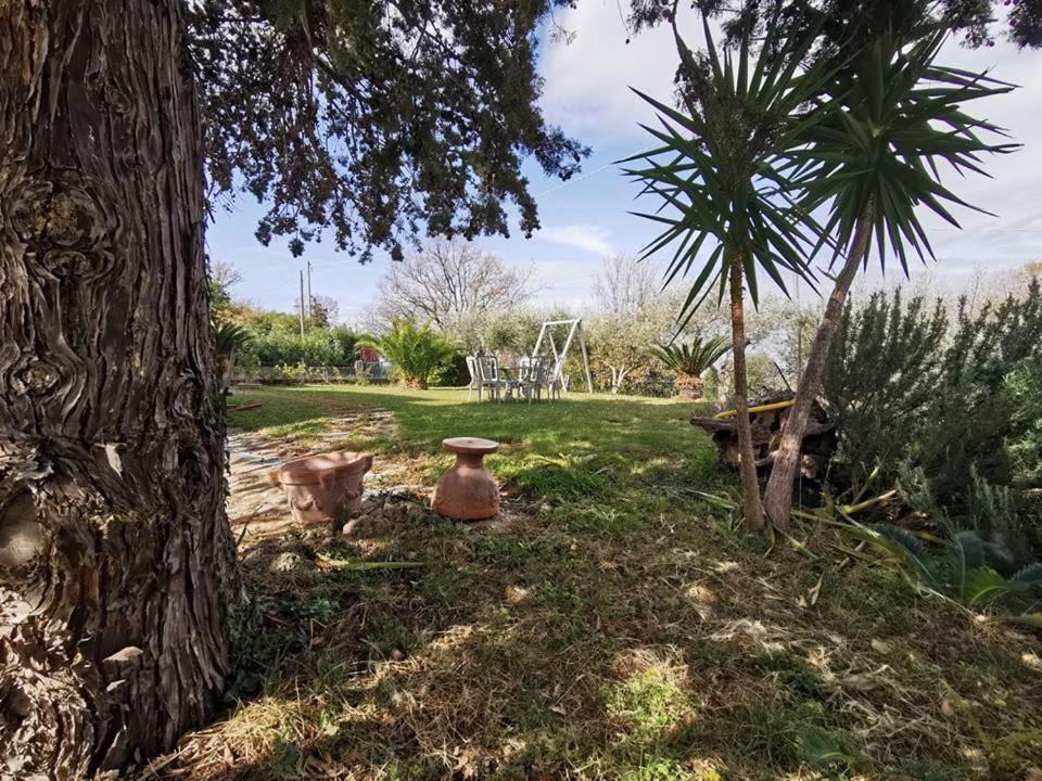 Bed & Breakfast Villa Flora Eredita Экстерьер фото